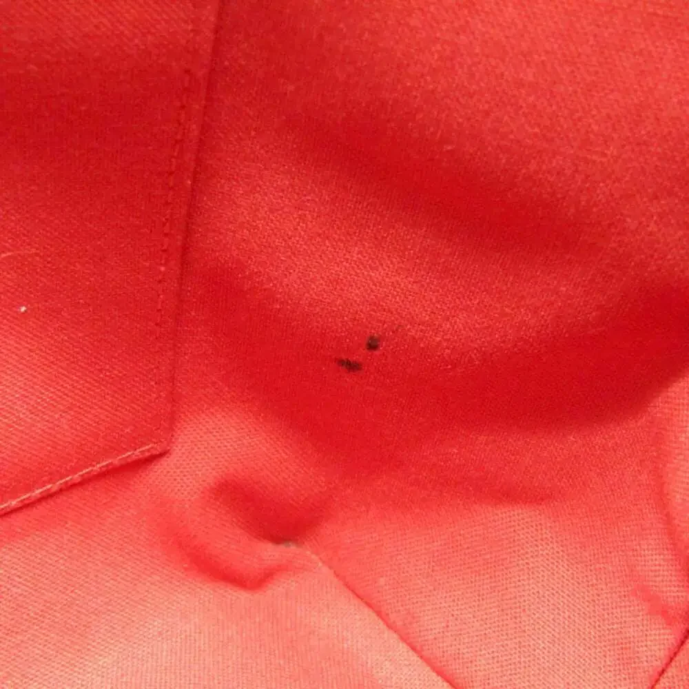 LOUIS VUITTON Brown Damier Tote Bag